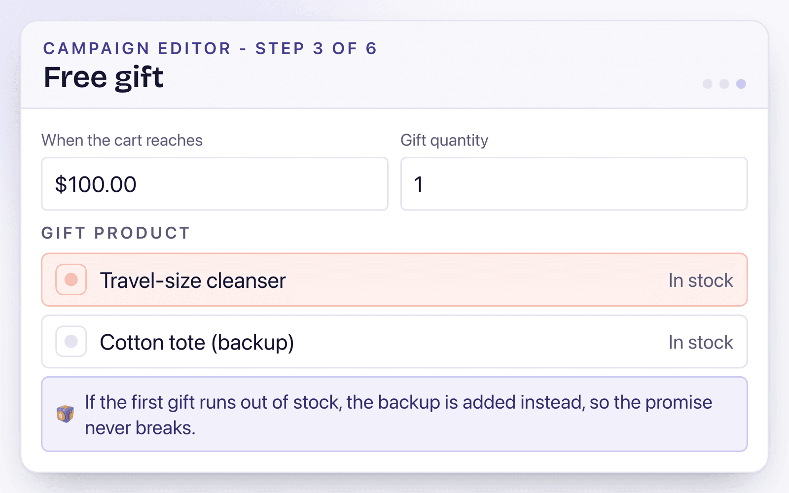 The free gift step: a $100.00 cart threshold, one gift, a travel-size cleanser as the gift and a cotton tote as the backup.